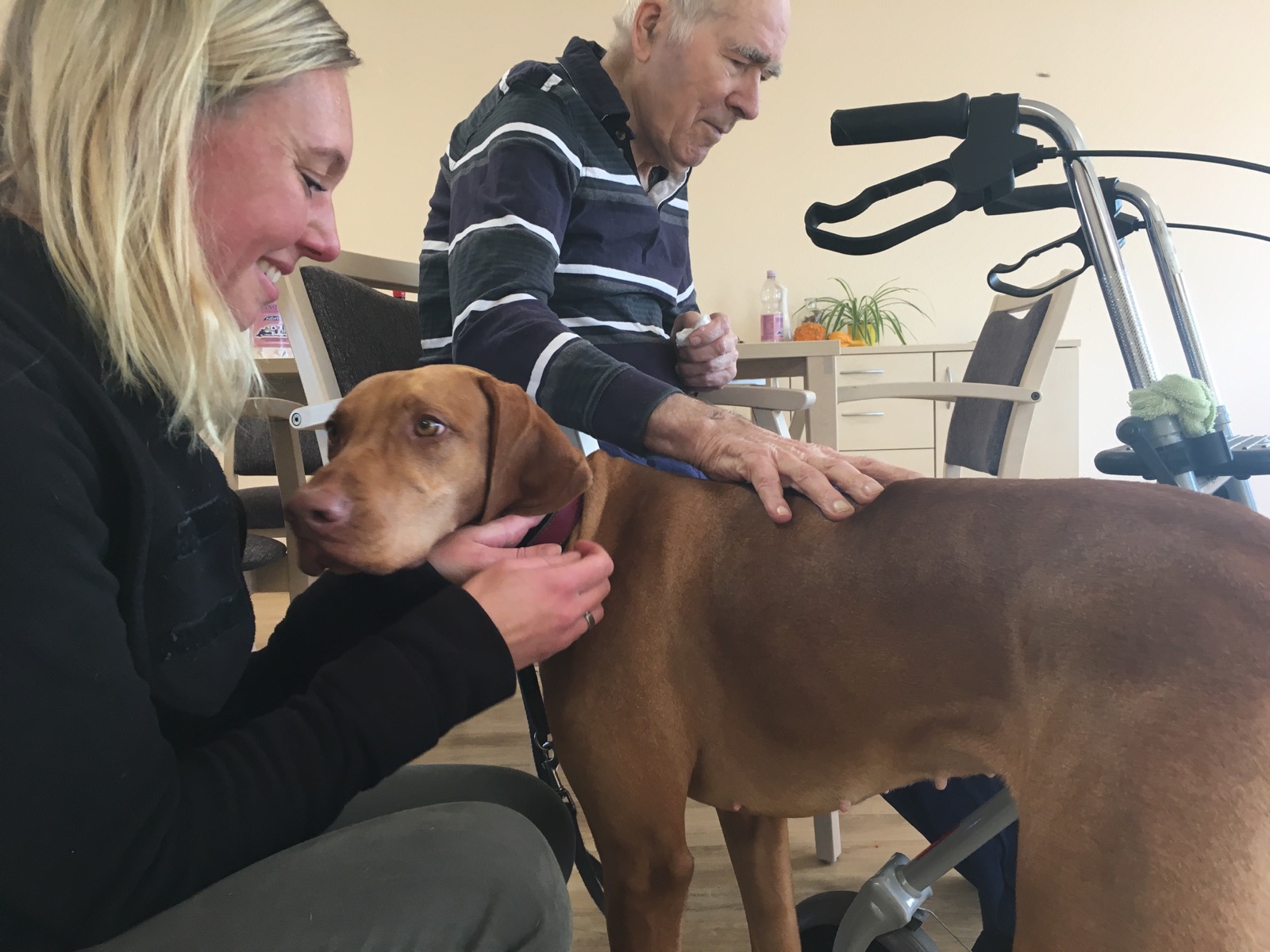 Hund in einer ruhigen Begegnung mit einem älteren Menschen