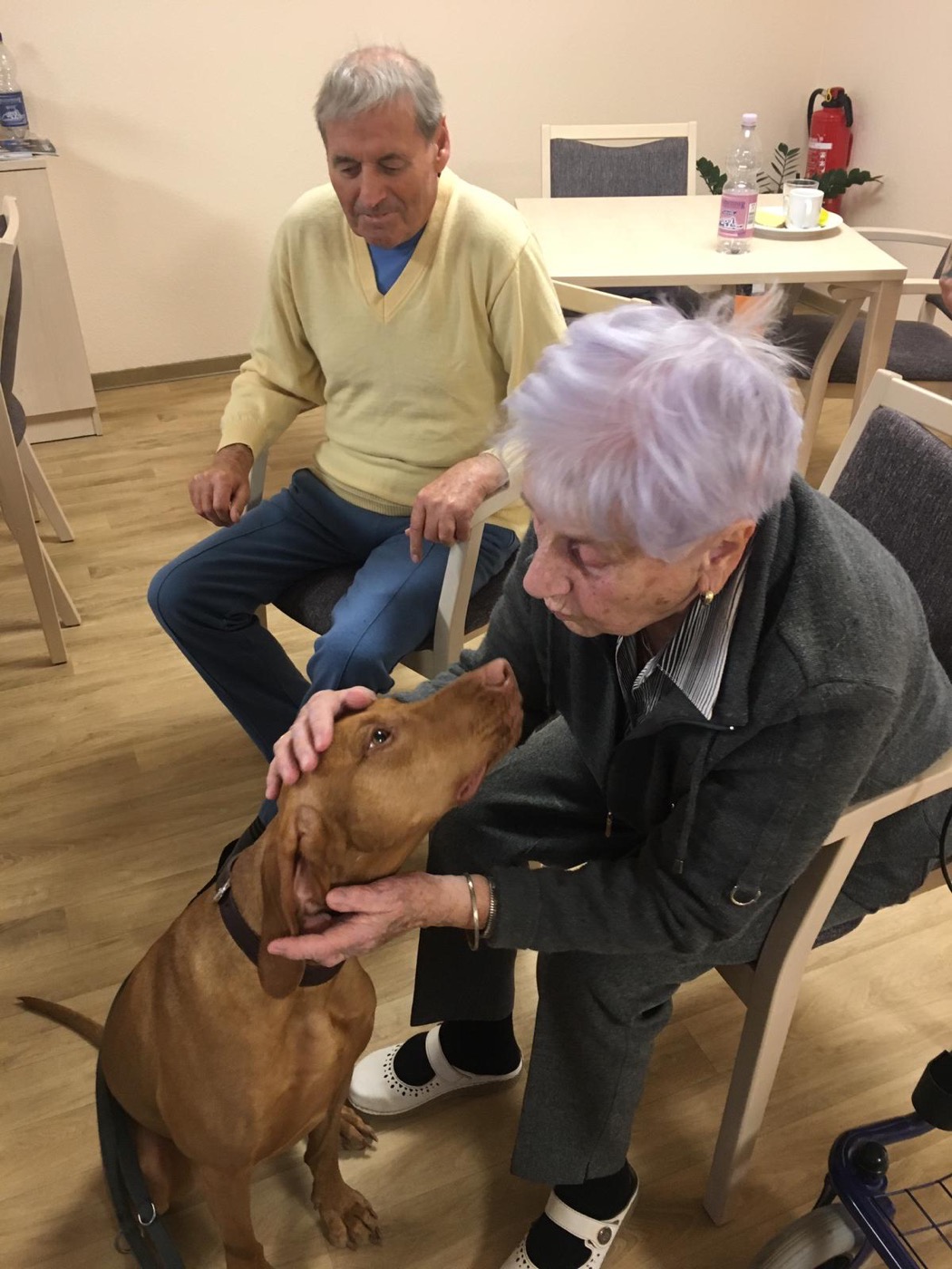 Ältere Frau in freundlichem Kontakt mit einem Hund