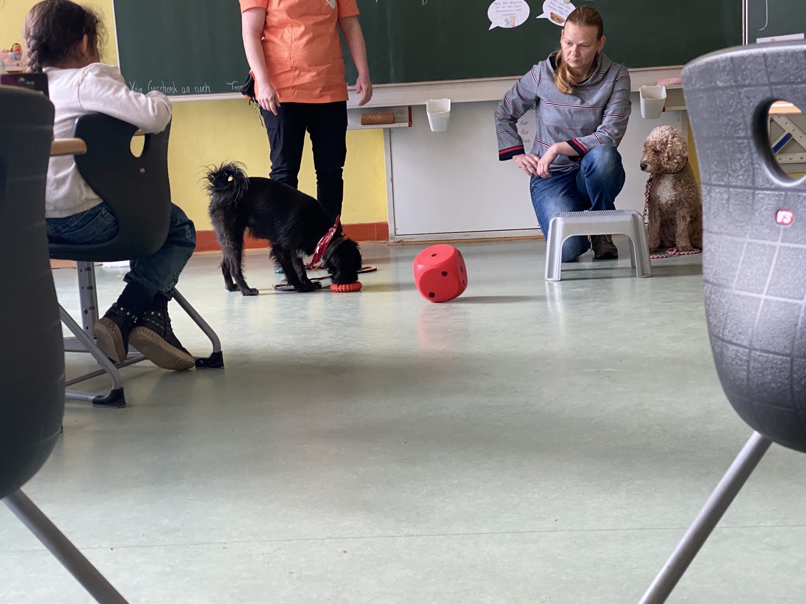 Schulhund-Situation im Klassenraum mit Hunden und Kindern